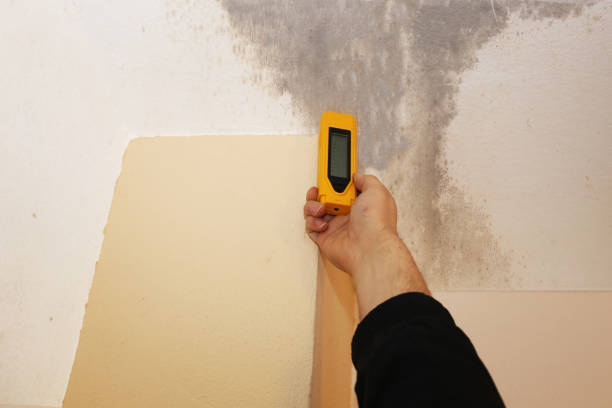Mold Removal for HVAC Installations in Follansbee, WV