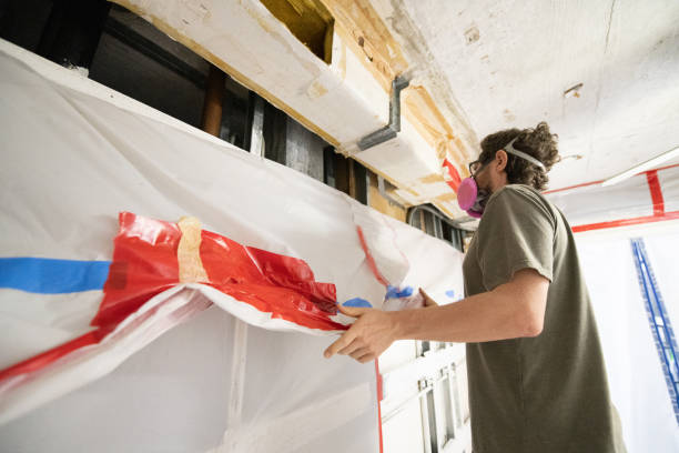 Best Attic Mold Removal  in Follansbee, WV