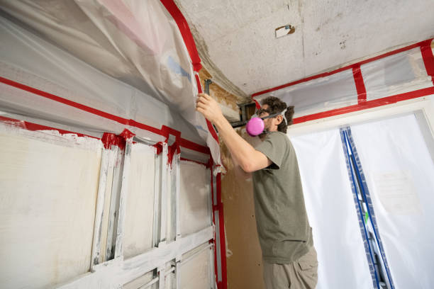 Best Mold Remediation for Healthcare Facilities  in Follansbee, WV