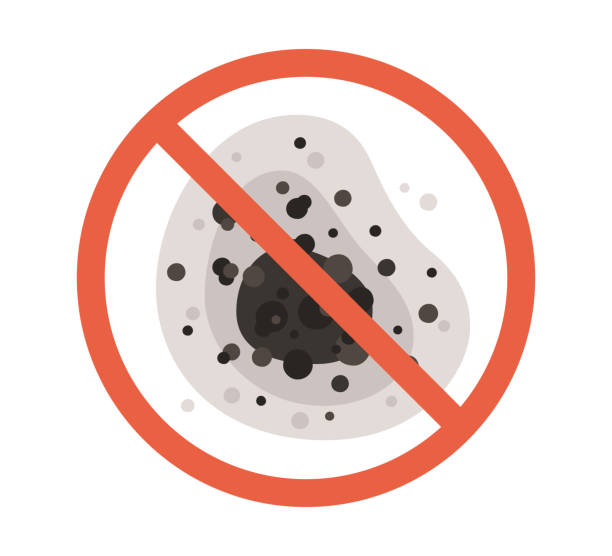 Best Commercial Mold Inspection  in Follansbee, WV