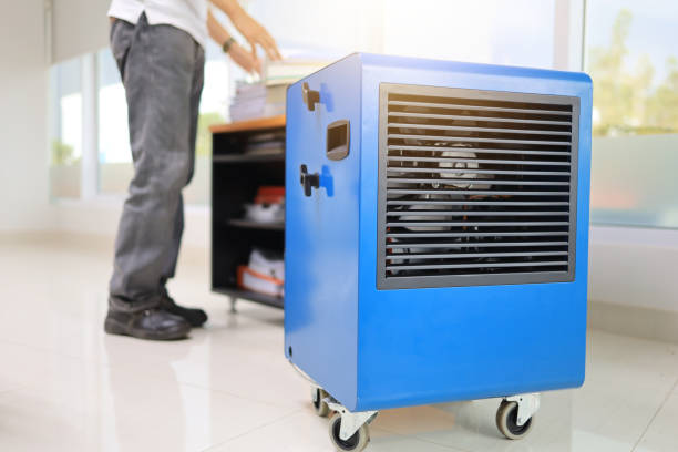 Best Mold Odor Removal Services  in Follansbee, WV