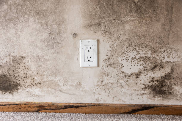 Best Indoor Air Quality Assessment  in Follansbee, WV