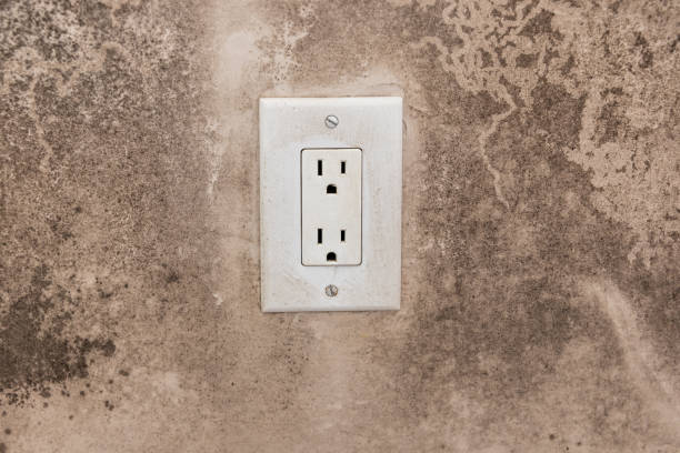 Follansbee, WV Mold Removal Company